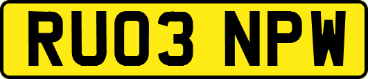 RU03NPW