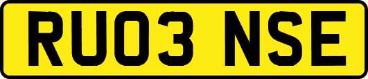RU03NSE