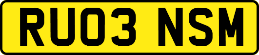 RU03NSM