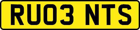 RU03NTS