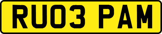 RU03PAM