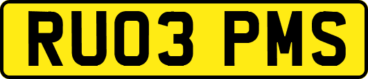 RU03PMS