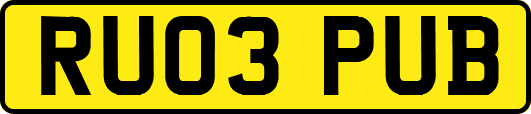 RU03PUB