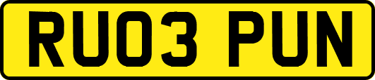RU03PUN