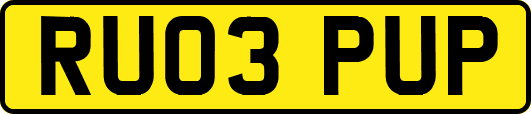 RU03PUP