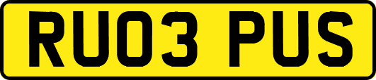 RU03PUS