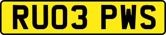 RU03PWS