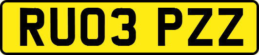 RU03PZZ