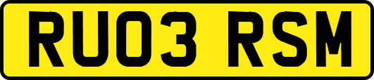 RU03RSM