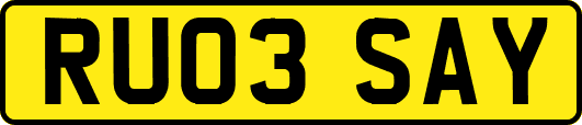 RU03SAY