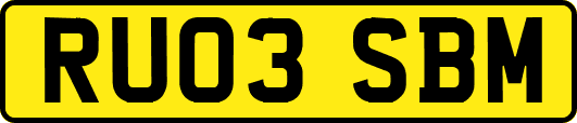 RU03SBM