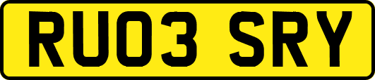 RU03SRY