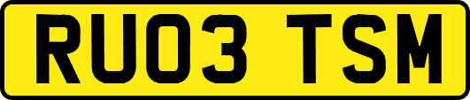 RU03TSM
