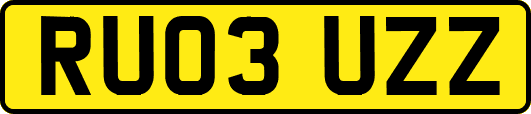 RU03UZZ
