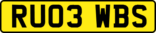 RU03WBS