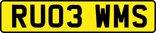 RU03WMS