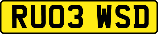 RU03WSD
