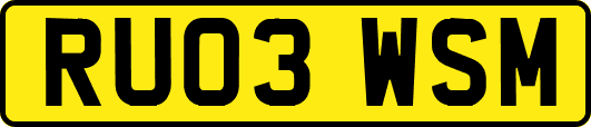 RU03WSM