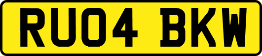 RU04BKW