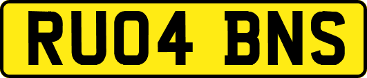 RU04BNS