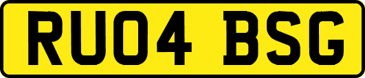 RU04BSG