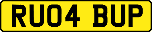 RU04BUP