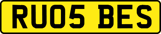 RU05BES