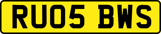 RU05BWS