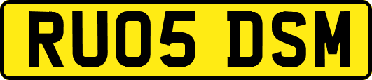 RU05DSM