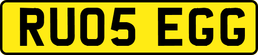 RU05EGG
