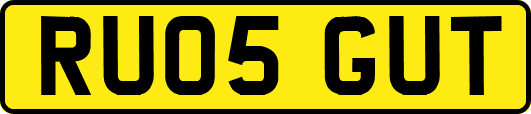 RU05GUT