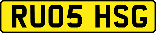 RU05HSG