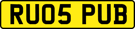 RU05PUB