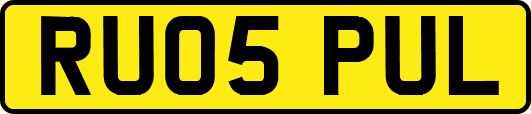 RU05PUL