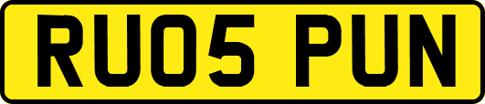 RU05PUN