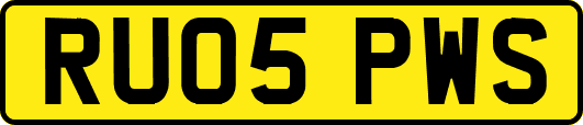 RU05PWS