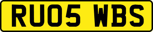 RU05WBS