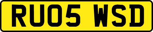 RU05WSD