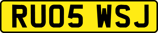 RU05WSJ