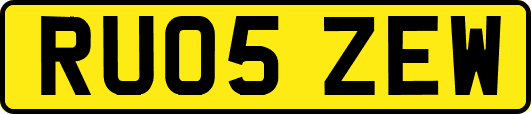 RU05ZEW