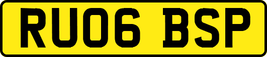 RU06BSP