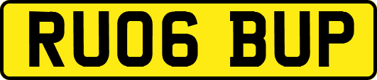 RU06BUP