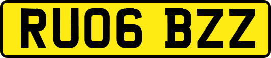RU06BZZ