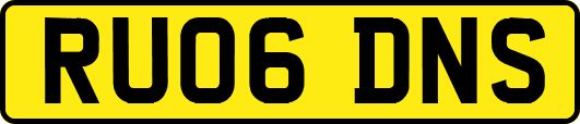 RU06DNS