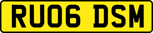 RU06DSM