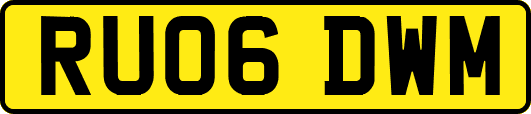 RU06DWM