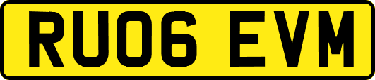 RU06EVM