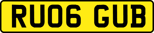 RU06GUB