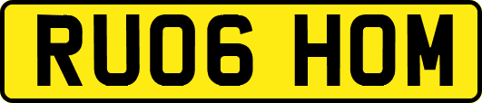 RU06HOM