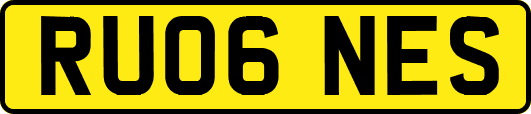 RU06NES